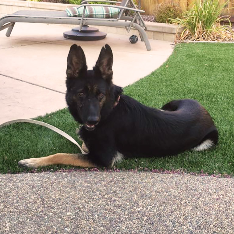 Mulan